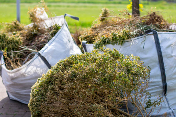 Professional Junk Removal in Emmetsburg, IA