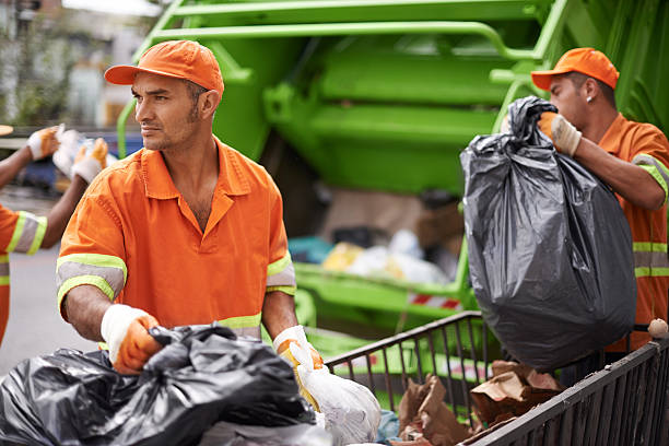 Best Electronics Removal Services  in Emmetsburg, IA